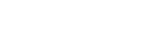 BIZpaye Intl. Group